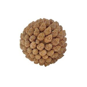 Sea Shell Orb Sculpture Large Rare Decorative Ball Coastal Nautical Beach Decor